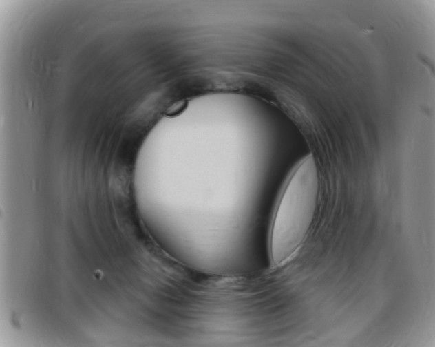 X0000096150078200801180838