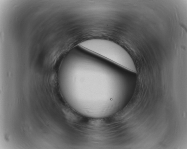 X0000096150079200801180838