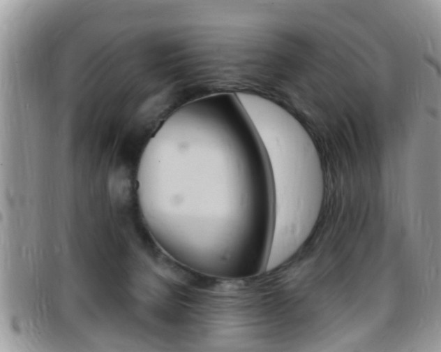 X0000096150080200801180838