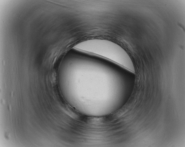 X0000096150081200801180838