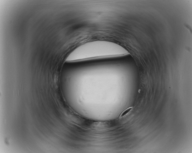 X0000096150082200801180838