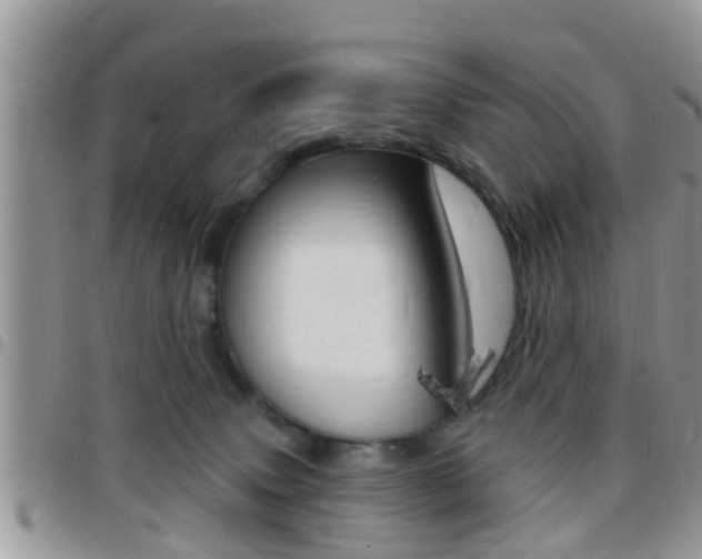 X0000096150083200801180838