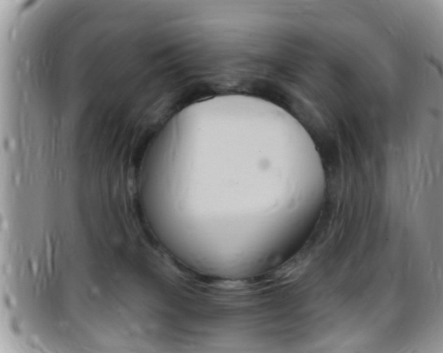 X0000096150085200801180838