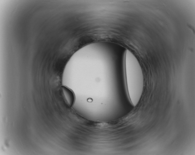 X0000096150087200801180838