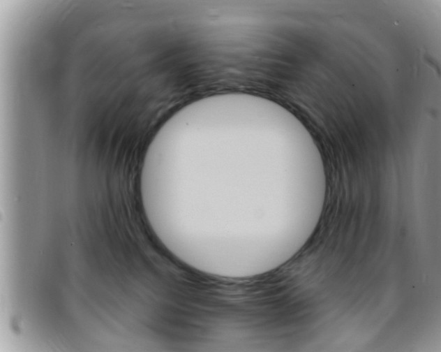 X0000096150088200801180838