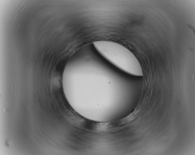 X0000096150090200801180839