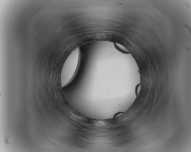 X0000096150091200801180839