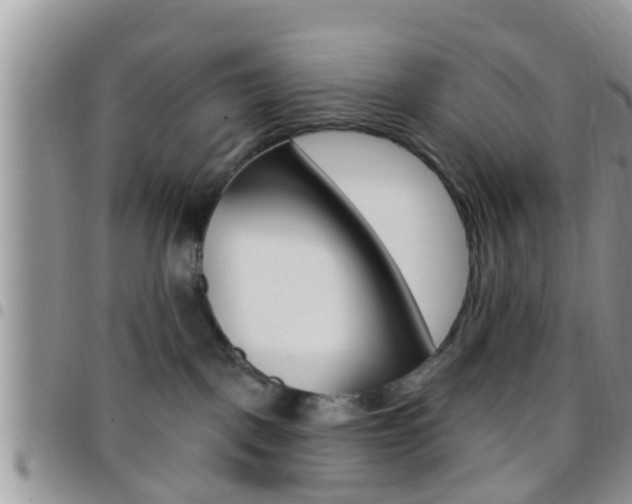 X0000096150093200801180839