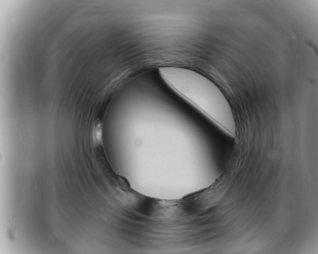 X0000096150095200801180839