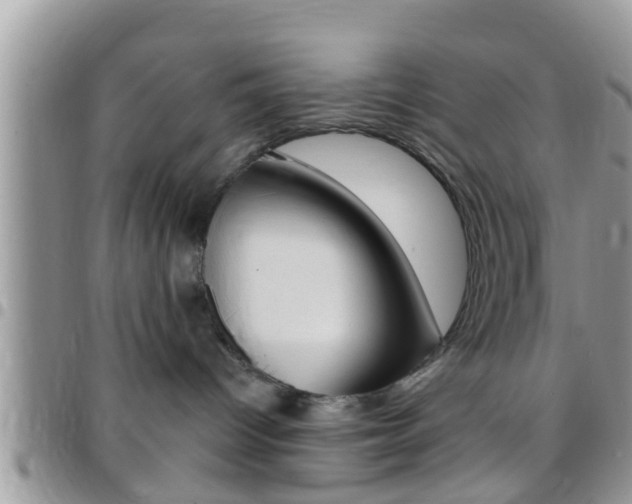 X0000096150096200801180839