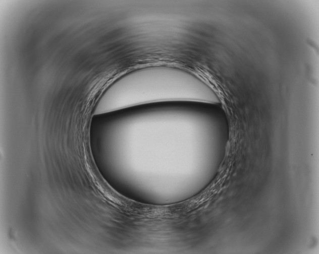X0000096150097200801180838