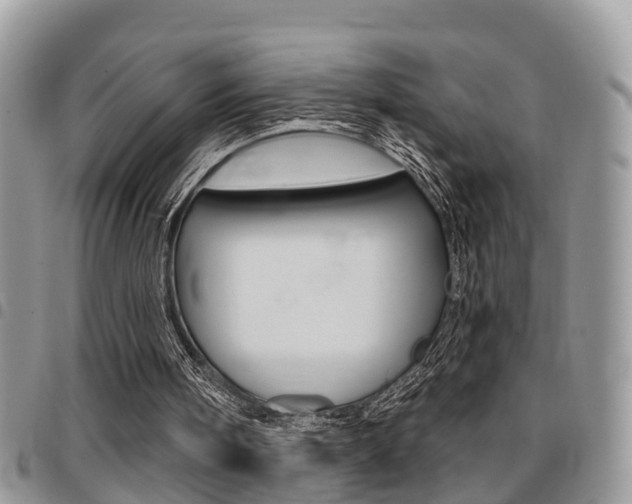 X0000096150098200801180838