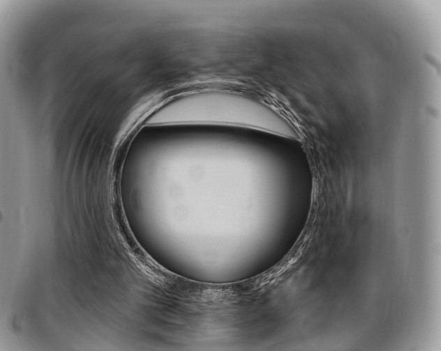 X0000096150101200801180838
