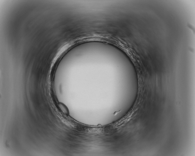 X0000096150102200801180838