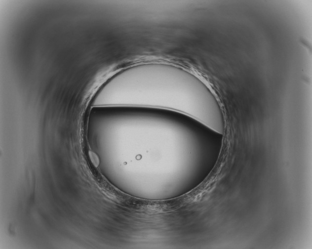 X0000096150103200801180838