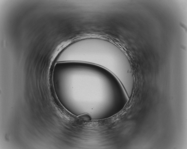 X0000096150104200801180838