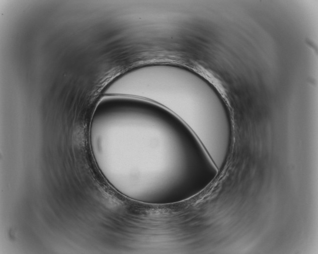 X0000096150105200801180838