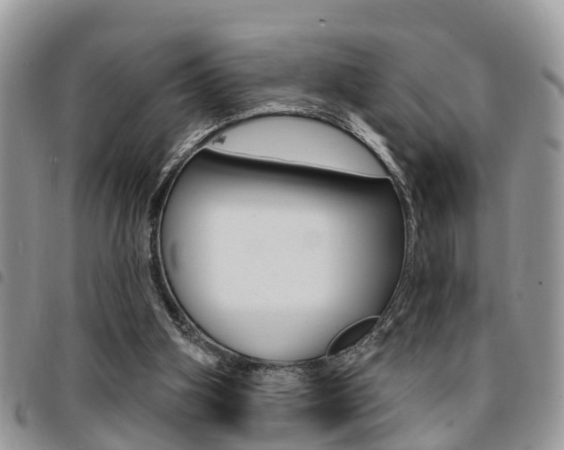 X0000096150106200801180838
