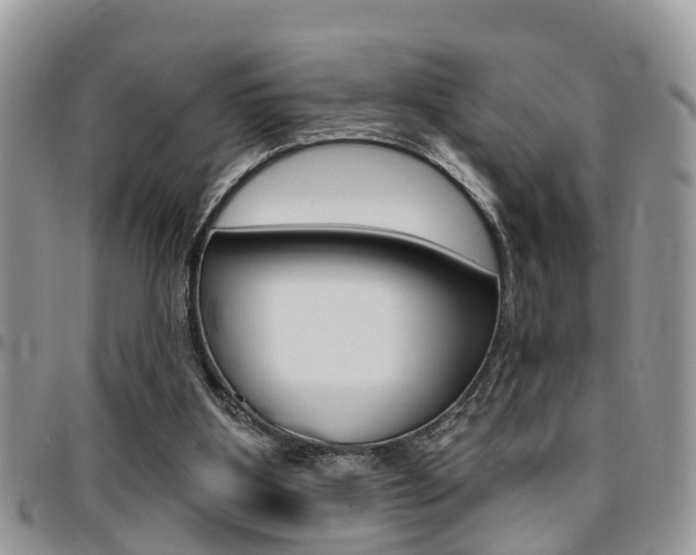 X0000096150107200801180838