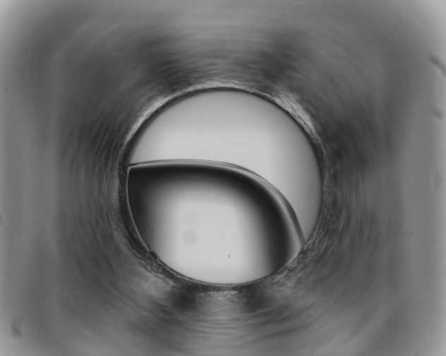 X0000096150108200801180838