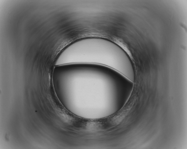 X0000096150109200801180838