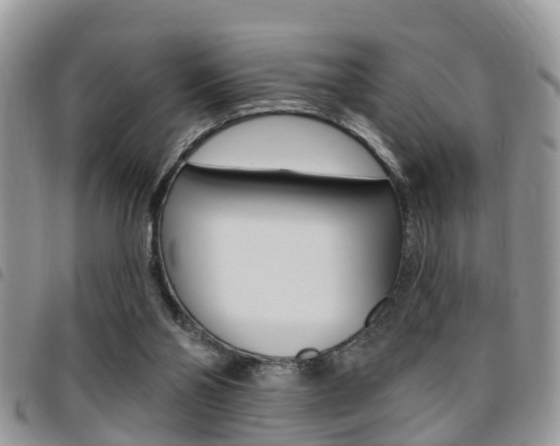 X0000096150110200801180838