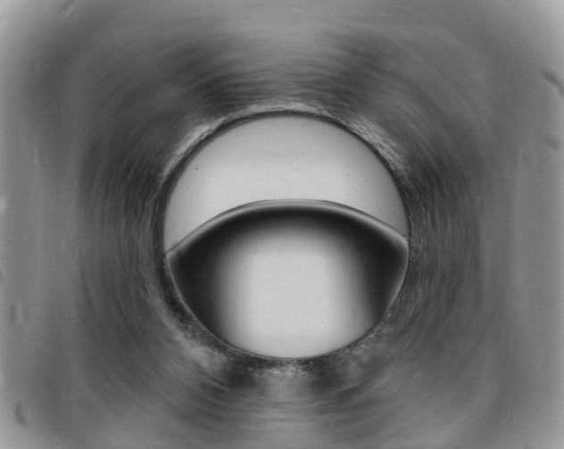 X0000096150112200801180838