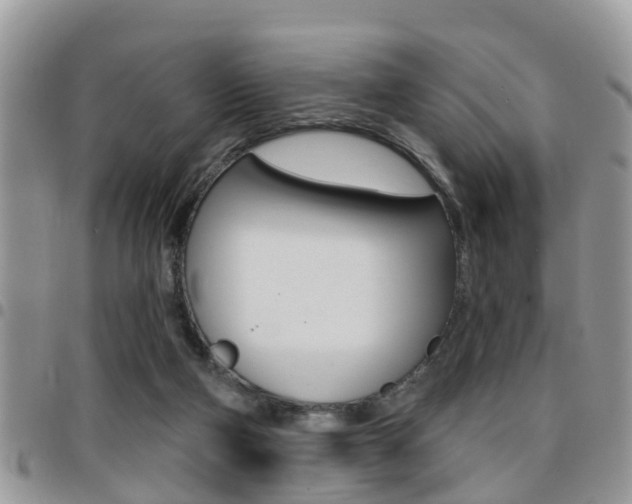 X0000096150114200801180838