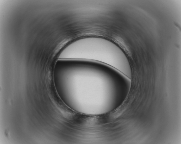 X0000096150116200801180838