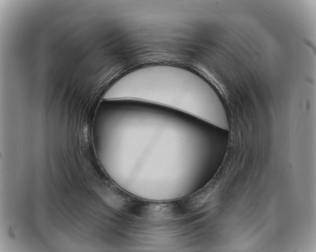 X0000096150117200801180838