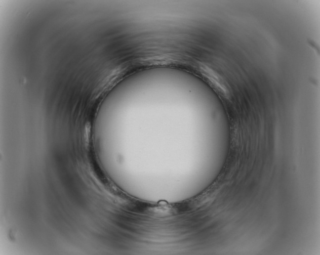 X0000096150118200801180838