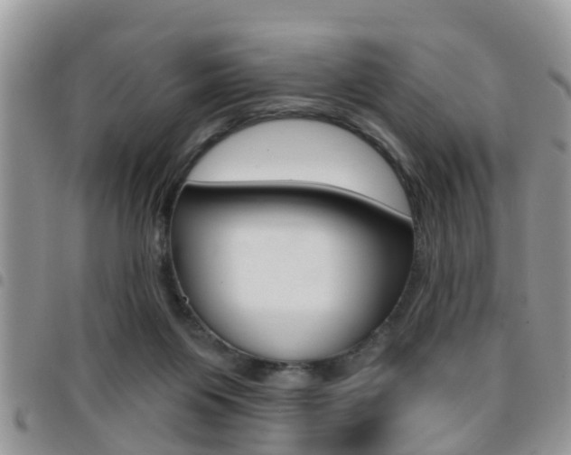 X0000096150119200801180838