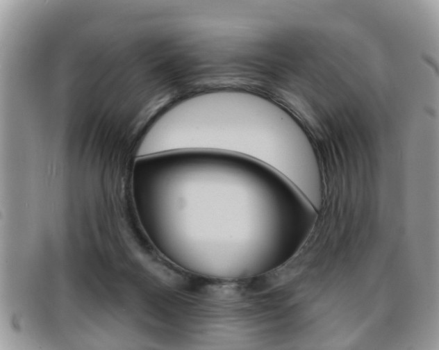 X0000096150120200801180838