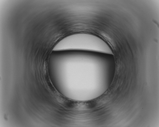 X0000096150121200801180838