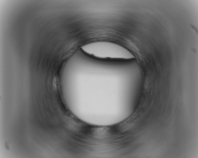 X0000096150122200801180838
