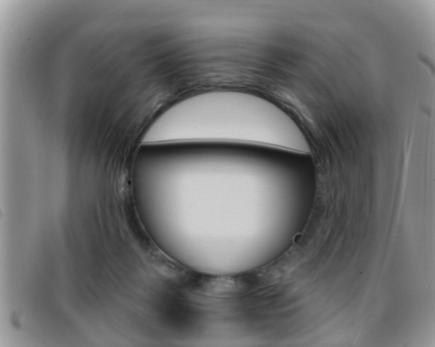 X0000096150123200801180838