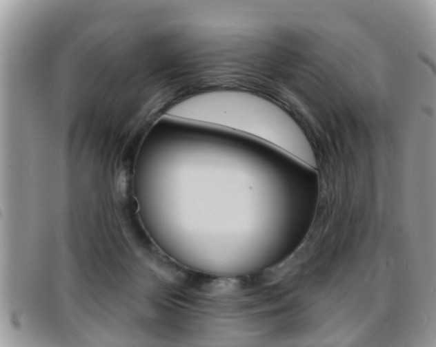 X0000096150124200801180838