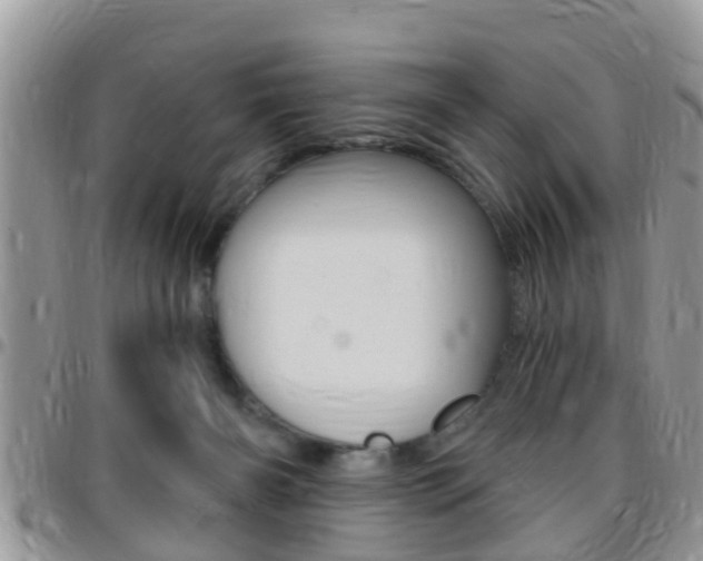X0000096150126200801180838