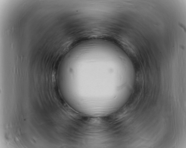 X0000096150127200801180838