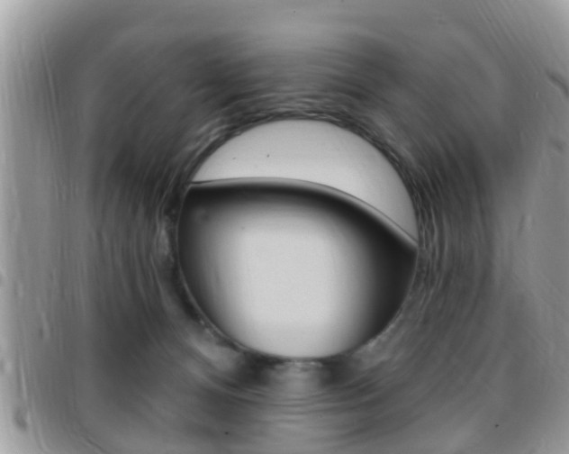X0000096150128200801180838