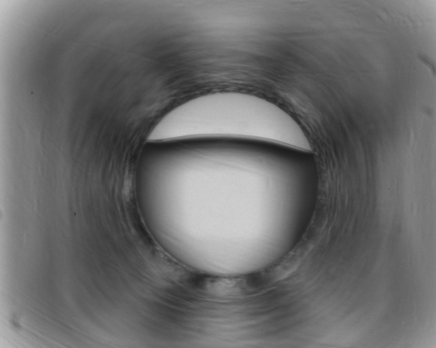 X0000096150129200801180837
