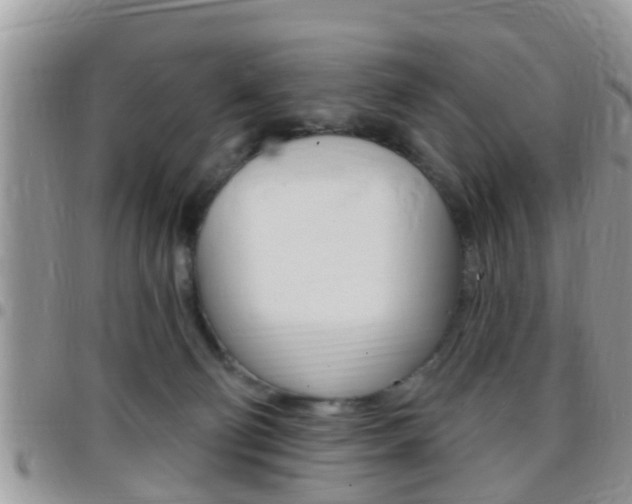 X0000096150130200801180837