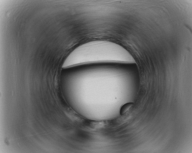 X0000096150131200801180837