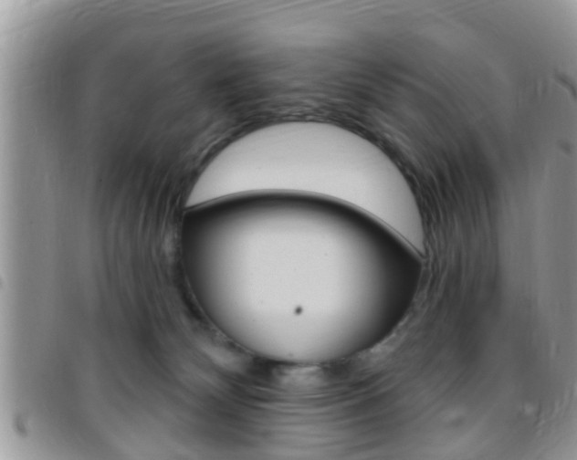 X0000096150132200801180837
