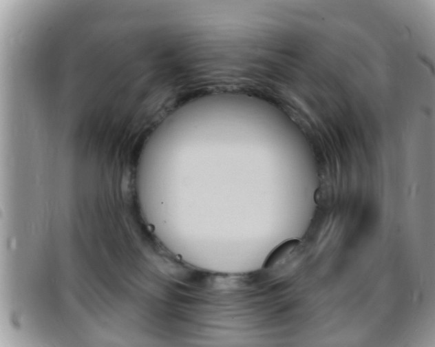 X0000096150134200801180837