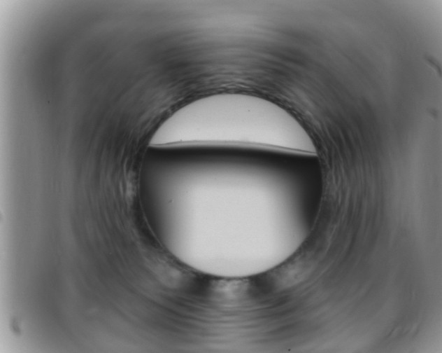 X0000096150135200801180837