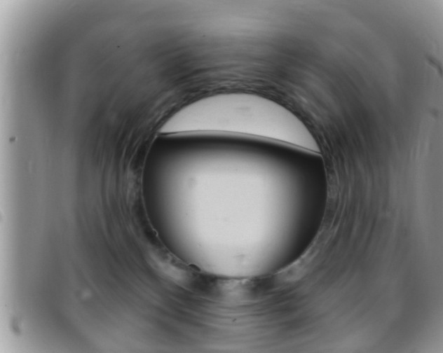 X0000096150136200801180837