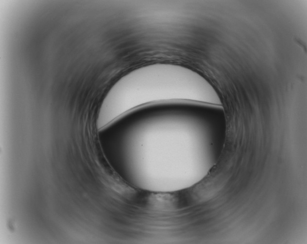 X0000096150137200801180837