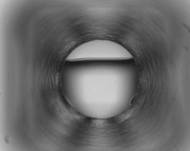 X0000096150139200801180837