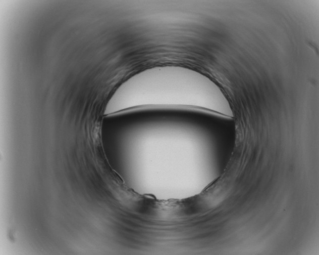 X0000096150141200801180837